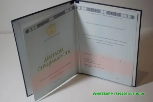 Купить диплом в Пушкино Бийского технологического института (филиала) АлтГТУ им. И.И. Ползунова — Бийского технологического института (филиала) Алтайского государственного технического университета им. И.И. Ползунова